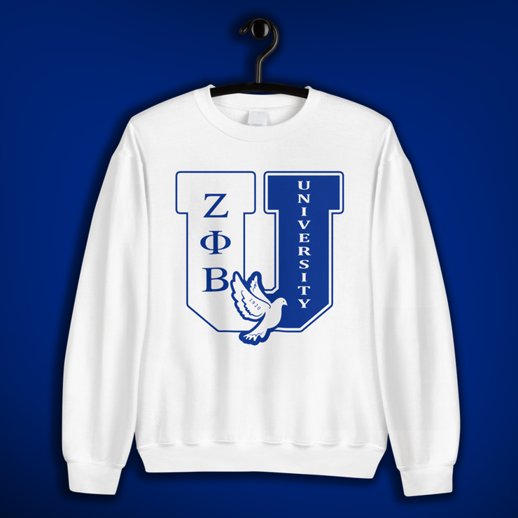 ZETA University Sweater